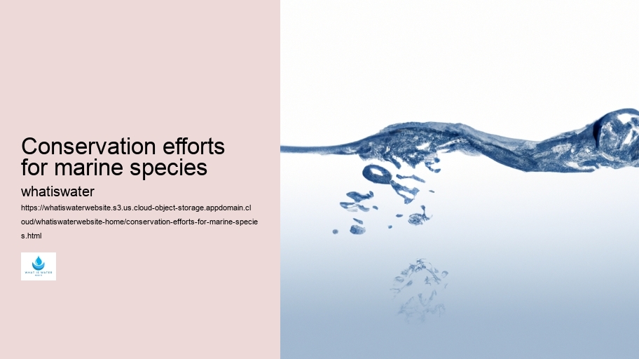Conservation efforts for marine species