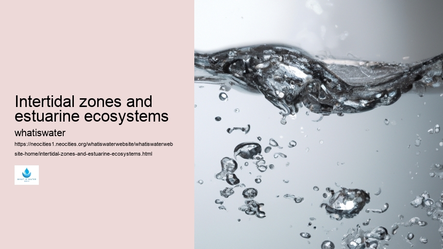 Intertidal zones and estuarine ecosystems
