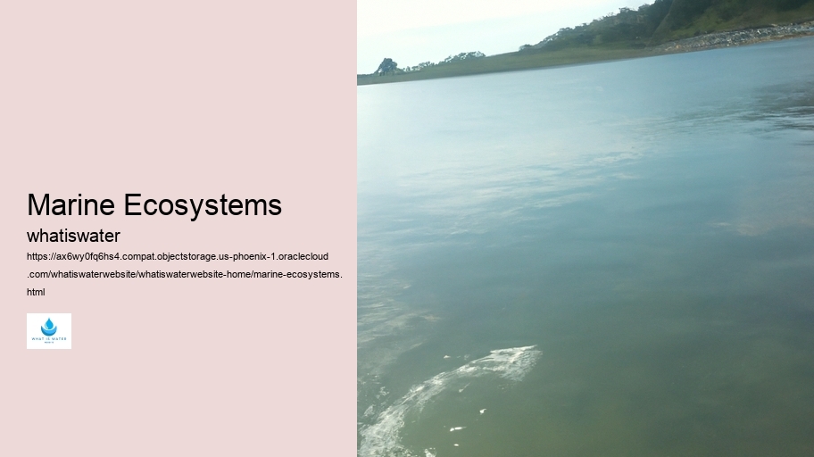 Marine Ecosystems