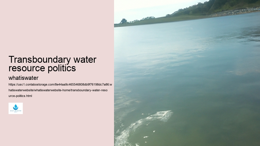 Transboundary water resource politics