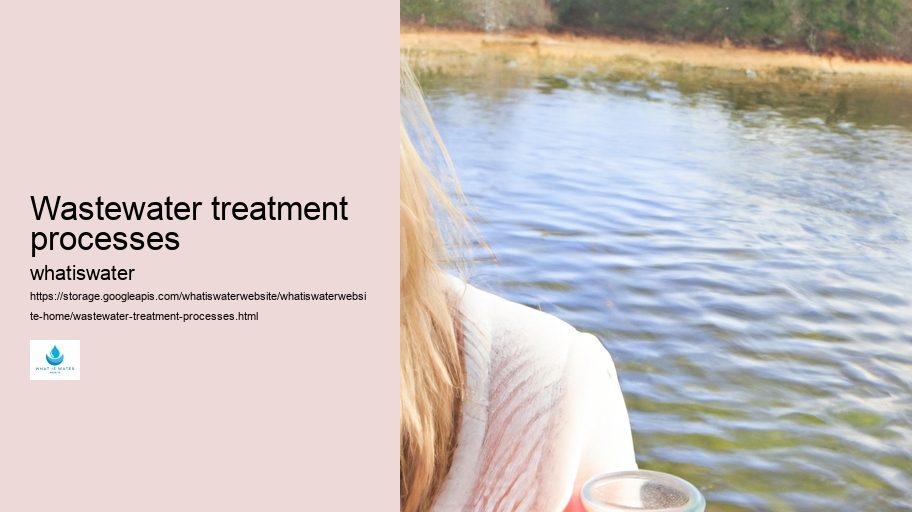Wastewater treatment processes